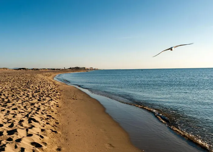 Daire Le Regent-4 By Interhome Caves